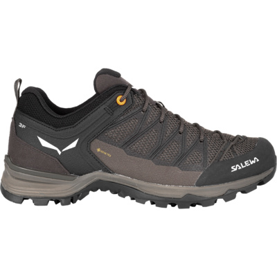 Salewa Homme Chaussures MTN Trainer Lite GTX (taille 42.5, Brun)