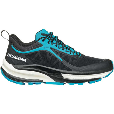 Scarpa Heren Golden Gate ATR GTX Schoenen (Maat 44.5, Zwart)