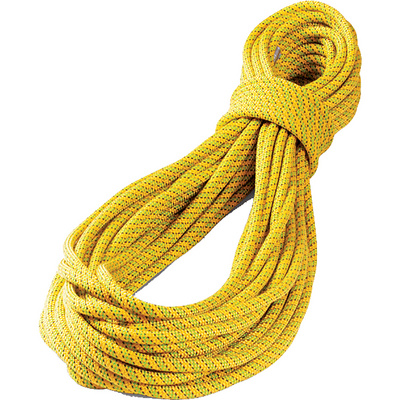 Tendon Ambition 9.8 klimtouw (Maat 30m)