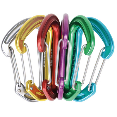 Edelrid Nineteen G Sixpack karabiner (Maat One Size)