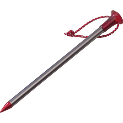 MSR Piquets de tente Carbon-Core (taille One Size)