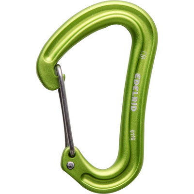 Edelrid Nineteen G Karabiner (Maat One Size, Groen)