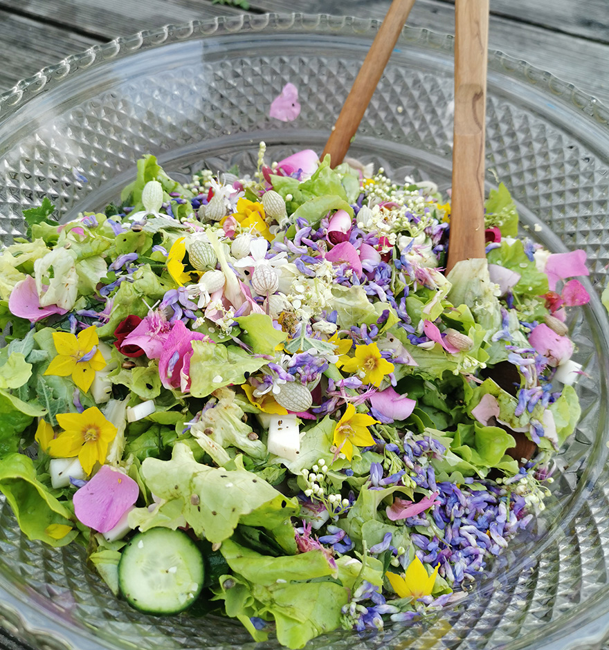 Blüten im Salat sehen nicht nur gut aus, sondern schmecken auch noch richtig lecker.