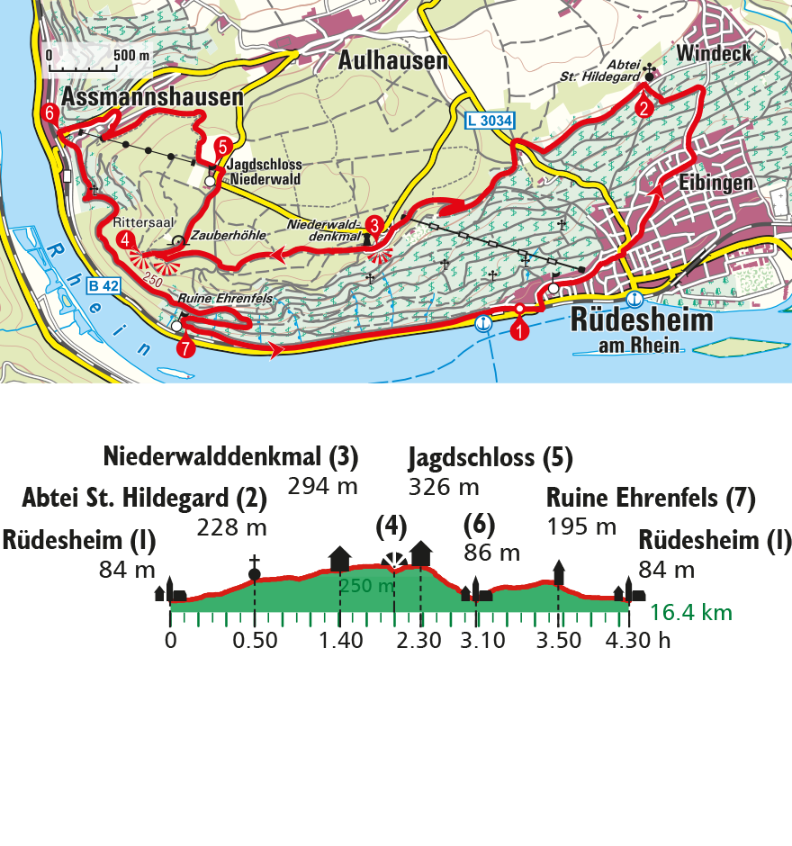 Durch Weinberge und über Waldwege wandern wir rund um Rüdesheim. 