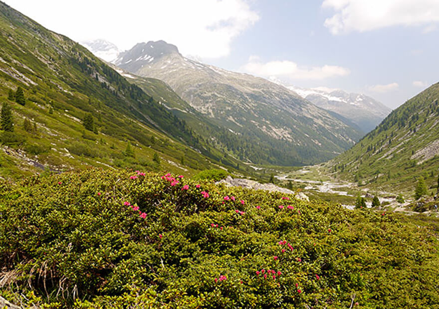 Die Route führt wie die Bergzeit Alpenüberquerung über den Zillertaler Hauptkamm am Pfitscher Joch.