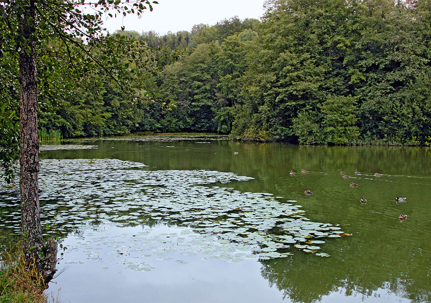 Der Bärensee, an dem wir zu Beginn vorbei kommen, wird von der Ramsklingenquelle gespeist.