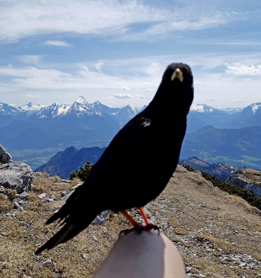 Am ersten Tag steigen wir auf abwechslungsreichen Steigen zum Stöhrhaus auf, wo wir die Aussicht genießen und übernachten.