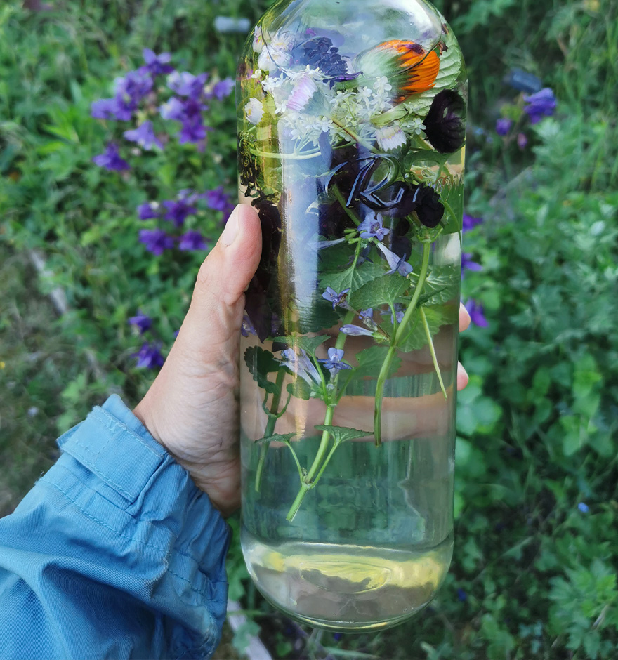 Mit essbaren Blüten kann stilles Wasser im Handumdrehen aufgepeppt werden.