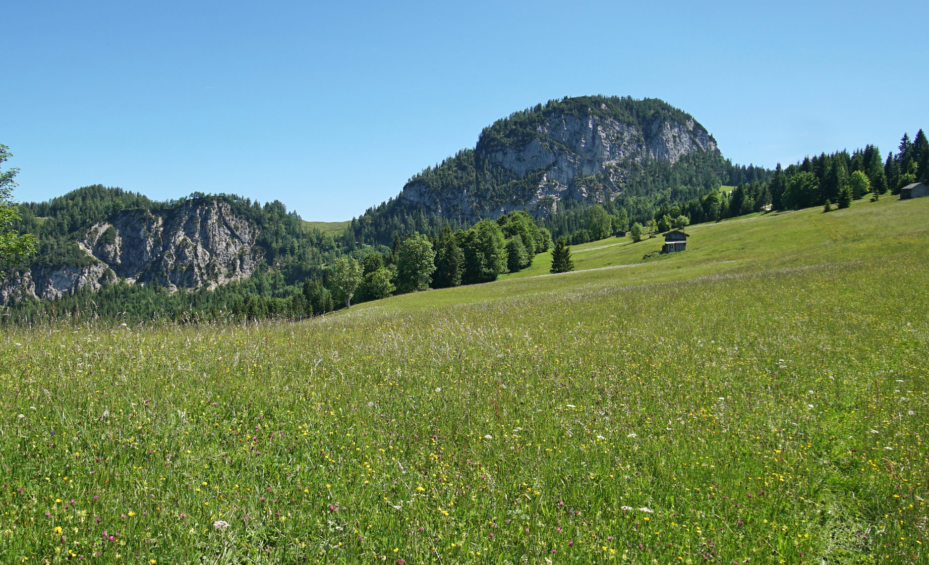 Juni und Oktober sind die Lieblingsmonate unserer Redakteurin für die Tour rund ums Dietrichshorn. Erst wegen den vielen Blumen, später im Jahr aufgrund der leuchtenden Ahornbäume.