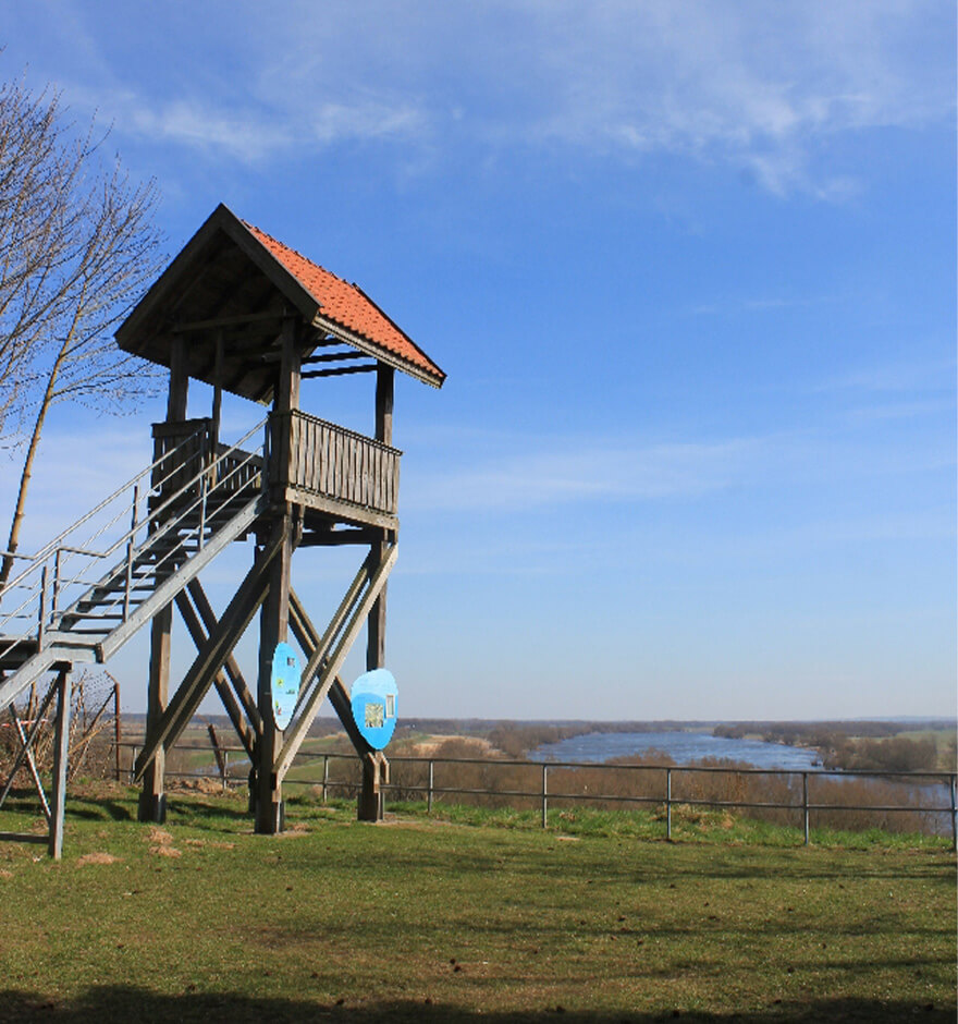 Der Aufstieg entlang des Steilufers lohnt sich: Vom Aussichtsturm überblickst Du das ganze Gebiet.