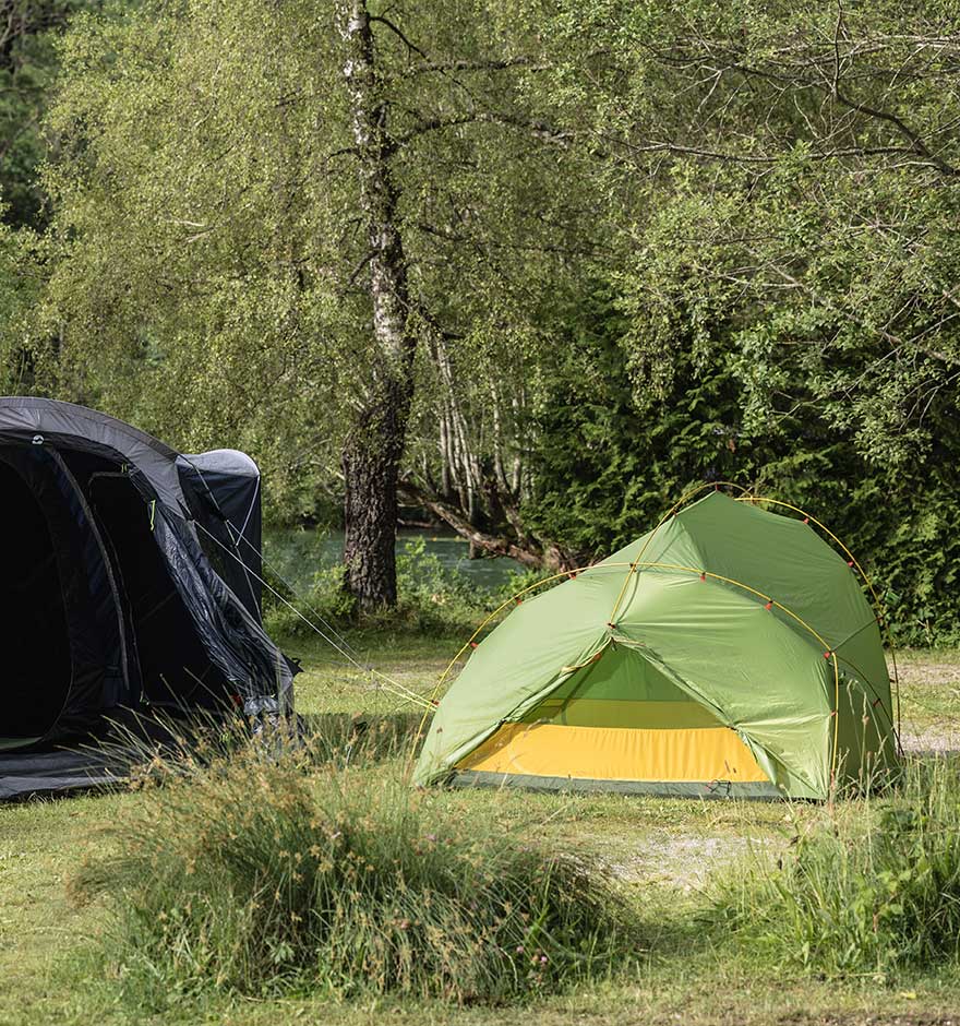 Zwei Zelte stehen aufgebaut auf Wiese an Waldrand