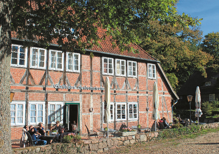 In Wilsede, einem autofreien Heidedorf, kann man alte, reetgedeckte Bauernhöfe bewundern und auch das Heidemuseum besuchen. 