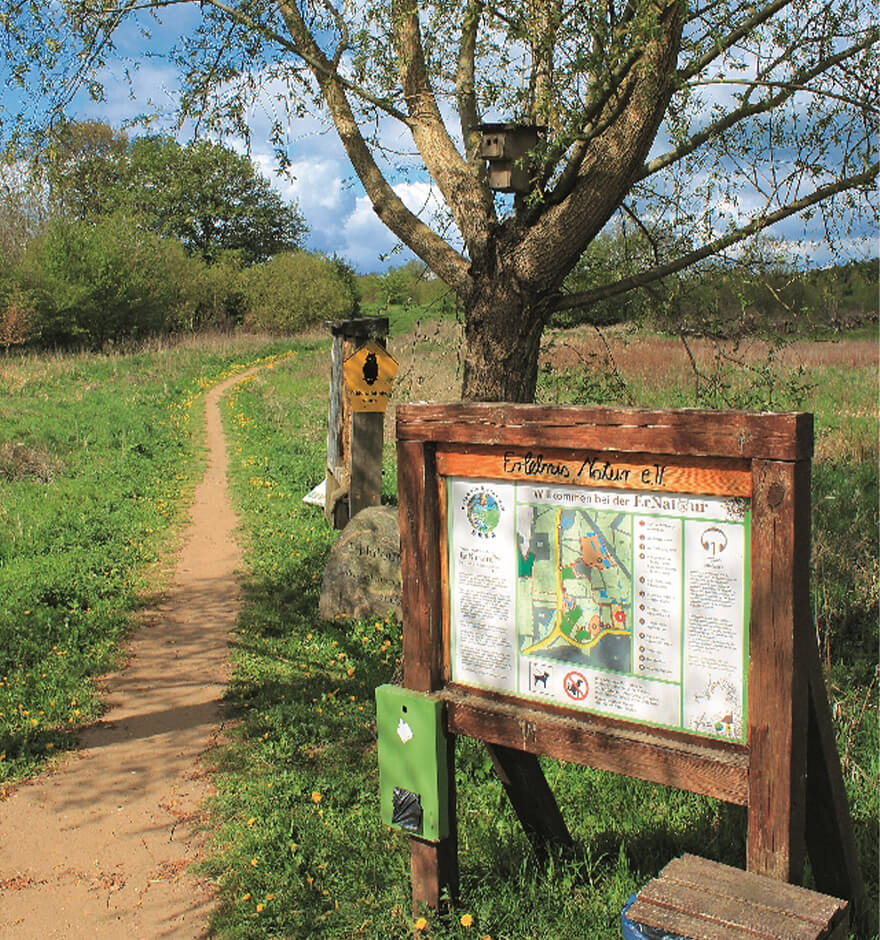 Anfangs folgen wir dem abwechslungsreichen Naturerlebnispfad in Eutin. 