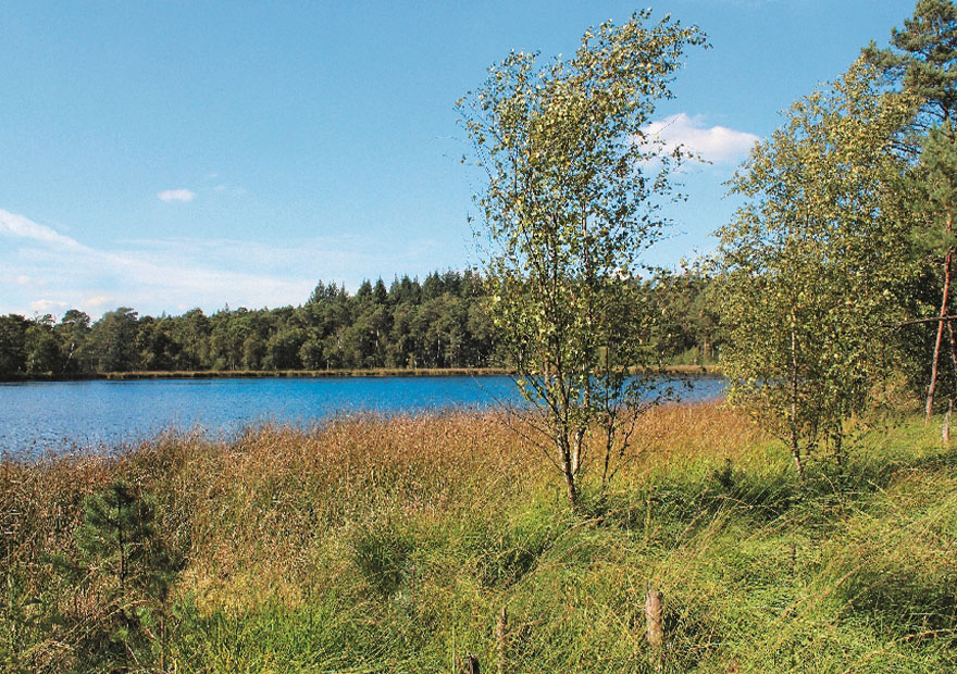 Das Moorgebiet um den Kleinen Bullensee ist eine Naturidylle.