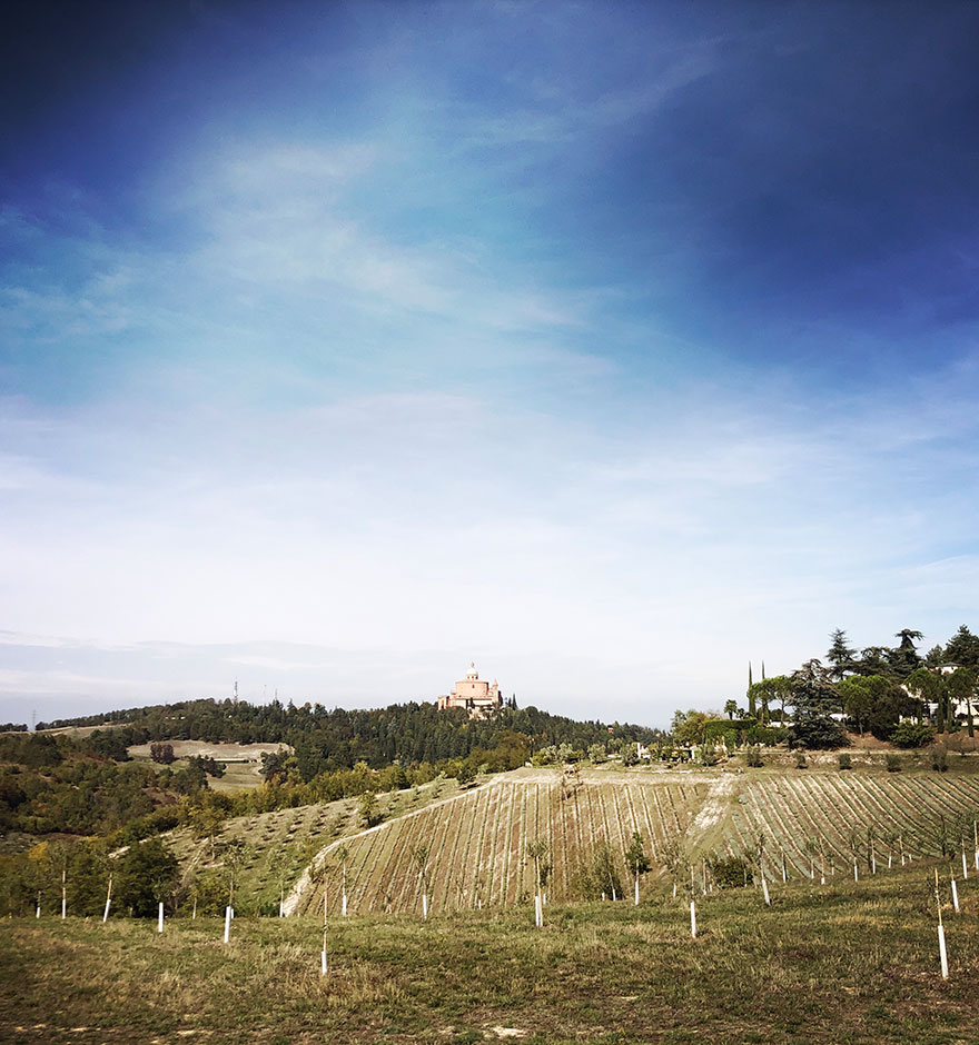 The Via Degli Dei Hiking from Bologna to Florence