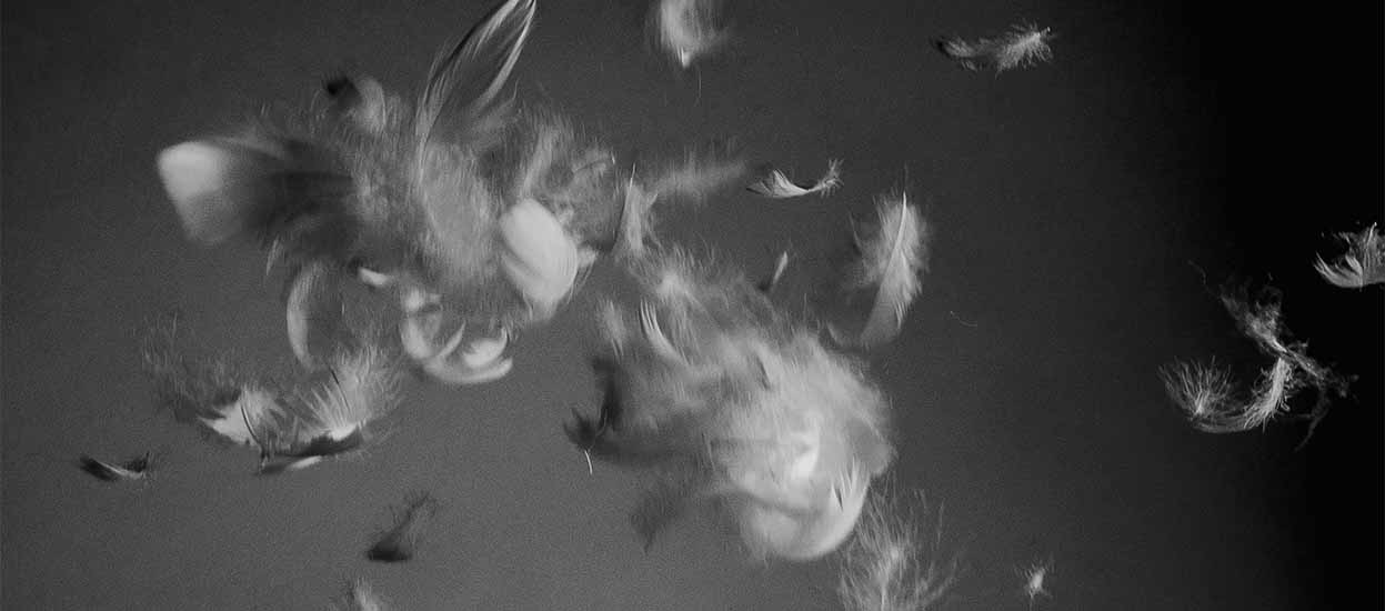 Nachhaltigkeit Mountain Equipment Sustainability Report