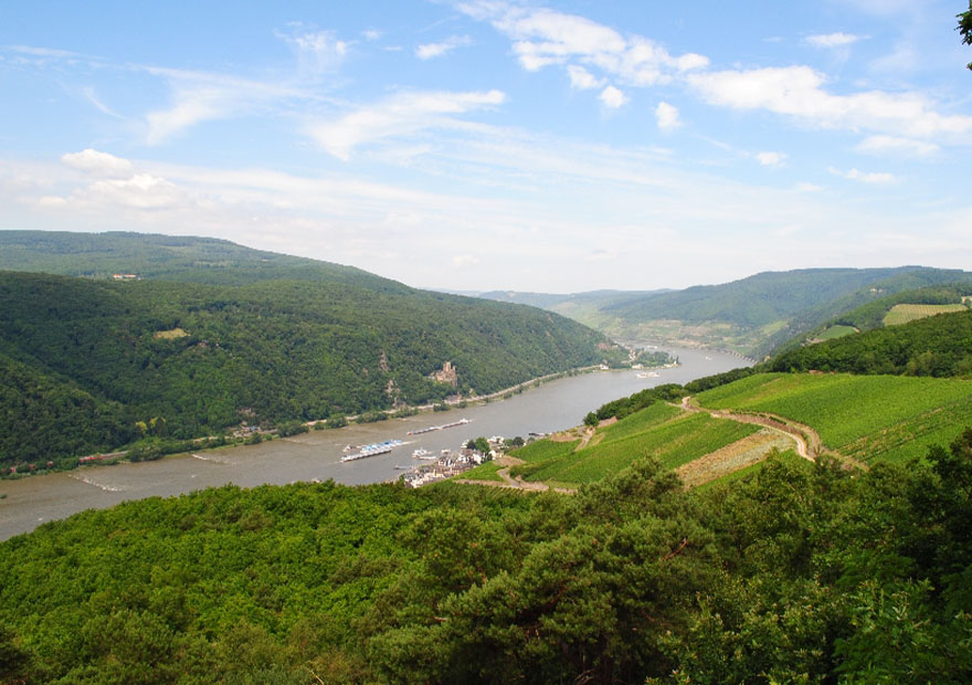 Im Naturpark Hoher Vogelsberg erklimmen wir bei dieser Tour gleich vier Gipfel.