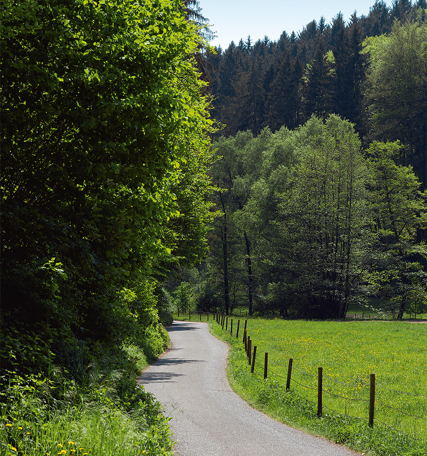 Vorbei an Bächen und Mühlen und durch den Wald wandern wir durch das Siebenmühlental.