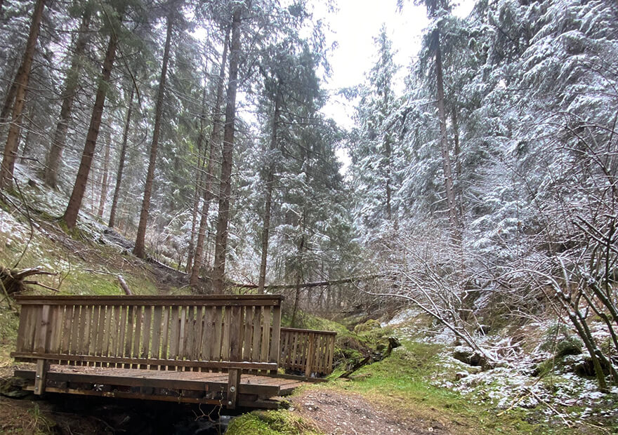 Auf den Trails des IATF kommen Trailrunner landschaftlich voll auf ihre Kosten.