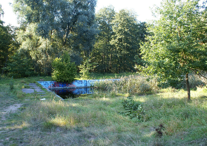Von dem ehemaligen Waldbad zeugt heute nur noch das mit Schilf bewachsene Schwimmbecken.