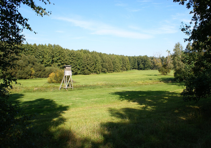 Der Pfad führt Dich durch immer wieder durch lichten Wald. Auf einer Infotafel werden die Besonderheiten der Landschaft erklärt. 
