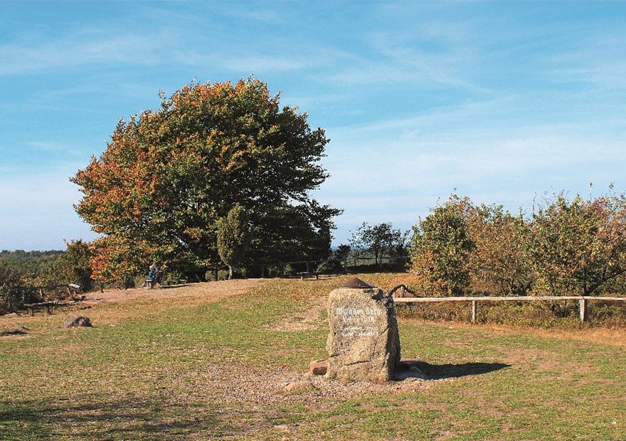 Der Wildseder Berg ist der höchste Punkt Norddeutschlands und bietet einen entsprechend weiten Rundblick. 