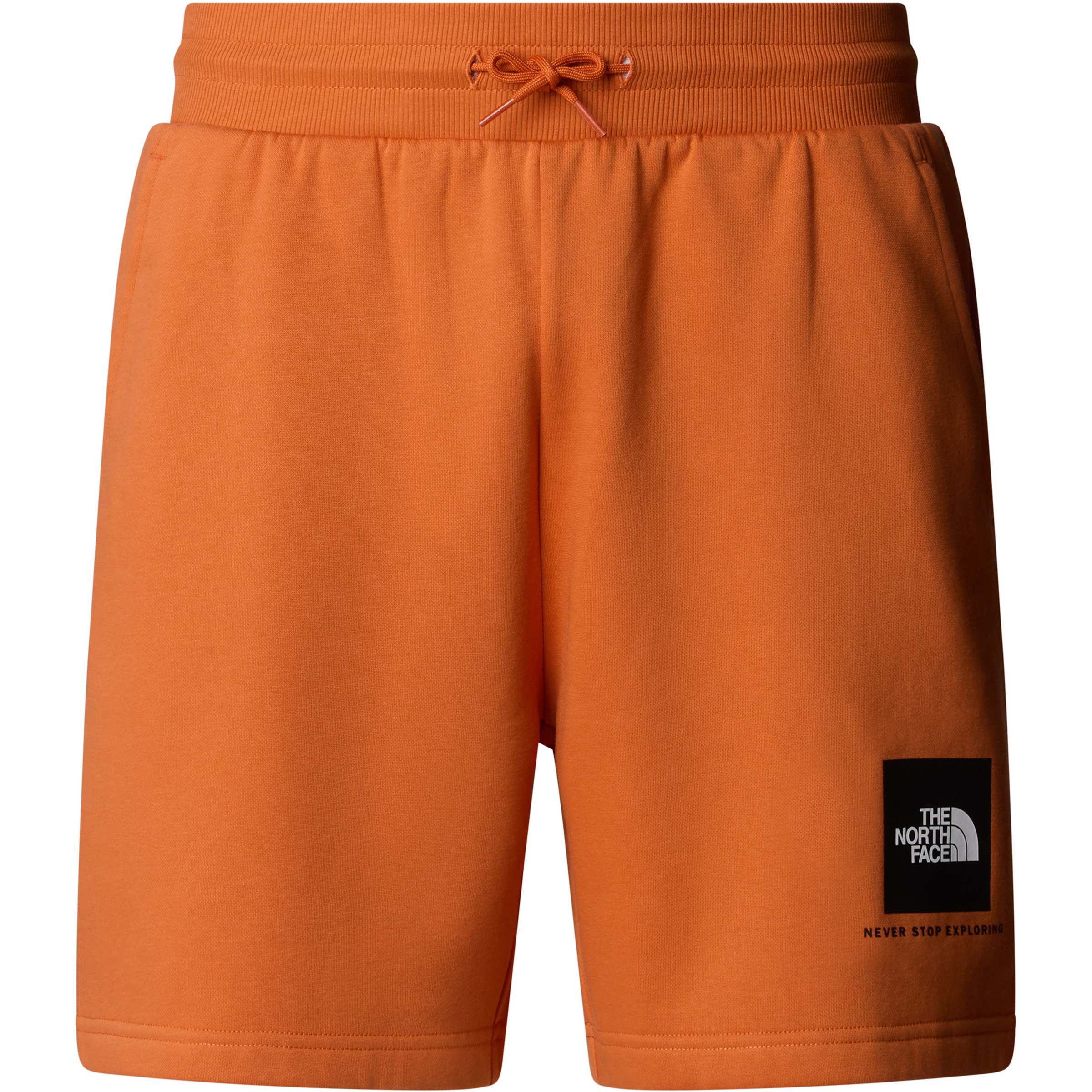 The North Face Herren Box Nse Shorts kaufen Bergzeit