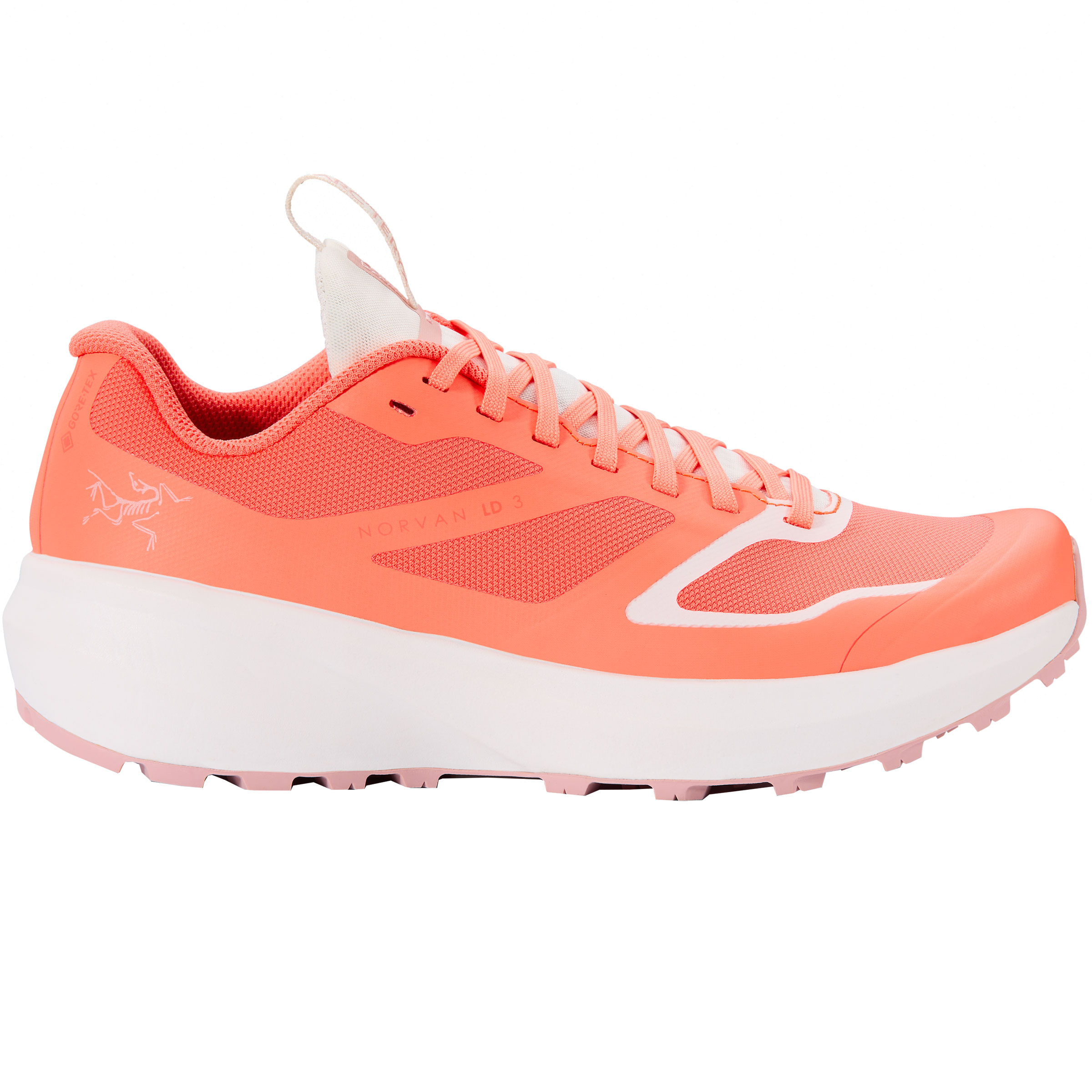 Norvan ld gtx deals shoe women's