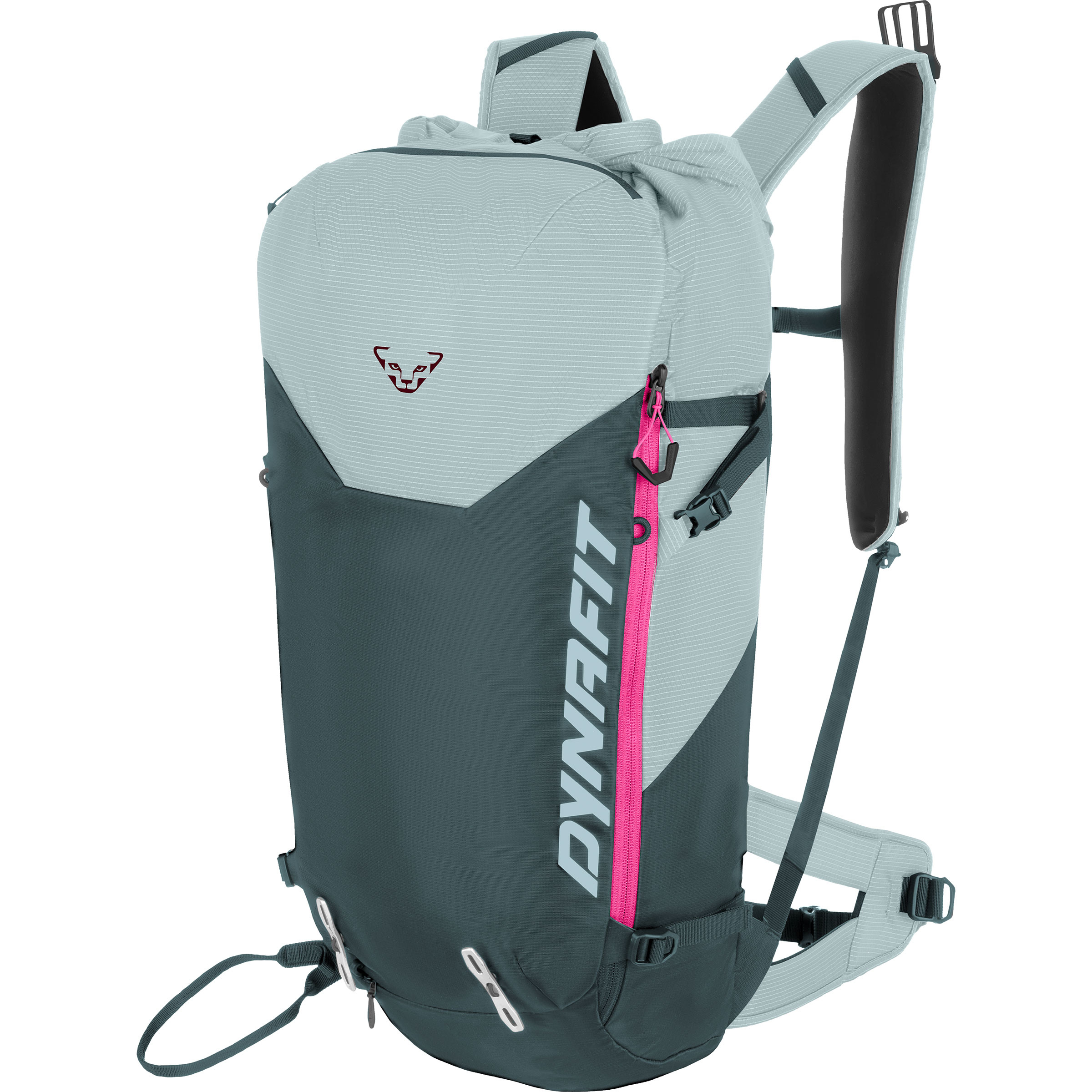 Dynafit Radical 30+ Ski Backpack | Buy online | Bergzeit Outdoor Shop