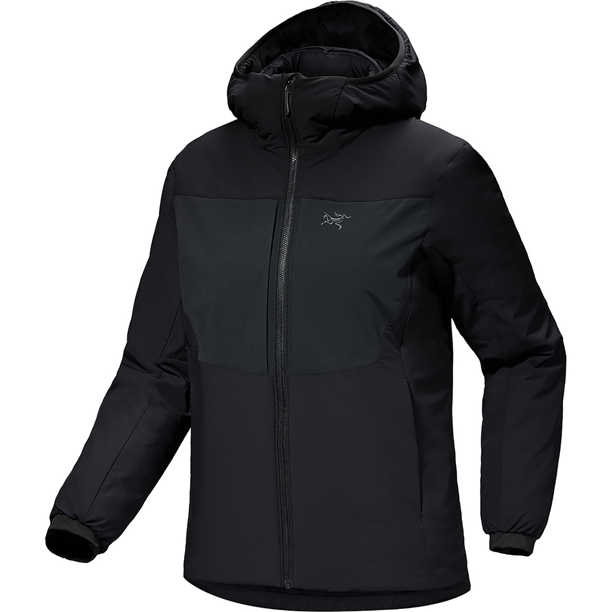 Arcteryx Damen Proton Heavyweight Hoodie Jacke kaufen Bergzeit